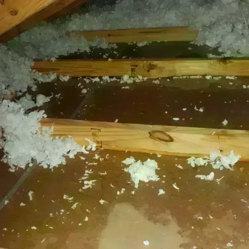 Attic Water Damage in Bridgeport, IL